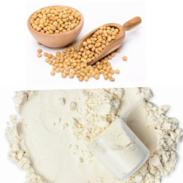 Soybean Protein Isolated