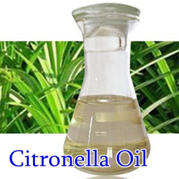 Citronella Oil
