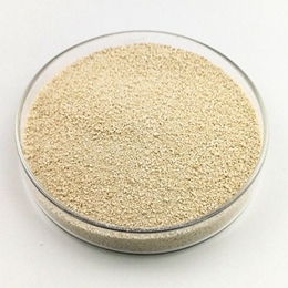 L-lysine Hcl 98.5%min